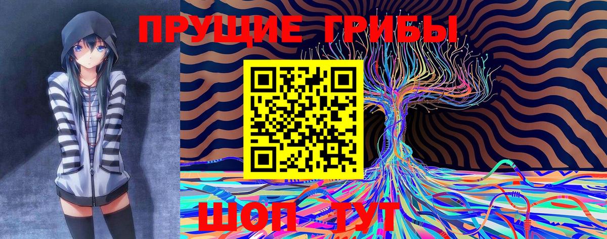 цена   Вход с VPN  Звенигород  Псилоцибиновые грибы прущие грибы 