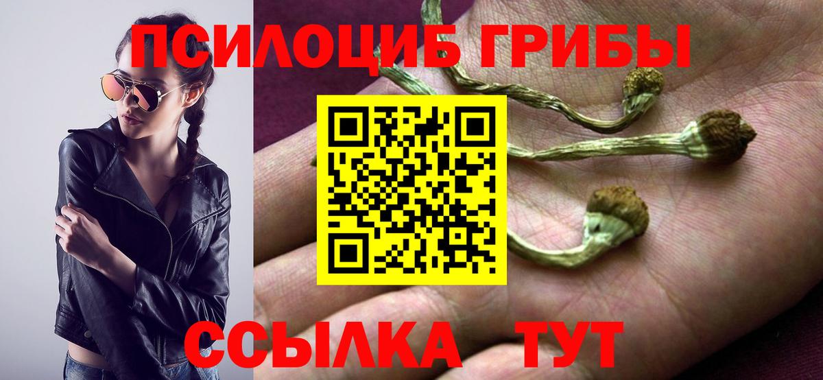 Галлюциногенные грибы ЛСД Звенигород